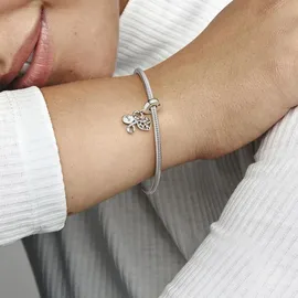 Pandora Moments Silber 792201C01