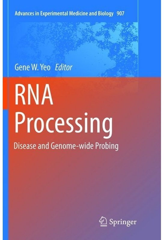 Rna Processing, Kartoniert (TB)