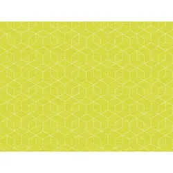 500 Bio Dunicel®-Tischsets 30 x 40 cm Graphics Kiwi