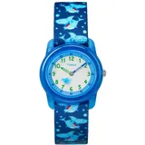 Timex TW7C13500 29 mm Armbanduhr Blau