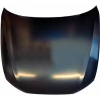 Diederichs Motorhaube 1028001