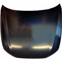 Diederichs Motorhaube 1028001