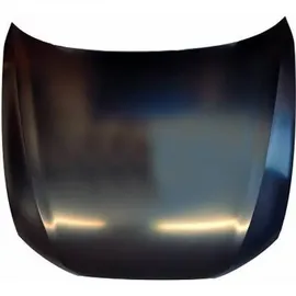 Diederichs Motorhaube 1028001