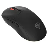 GENESIS Zircon XIII Custom schwarz