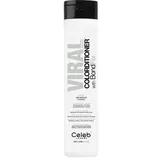 Celeb Viral Colorditioner pastel silver 244 ml