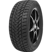 Delinte WD1 195/55 R15 85H