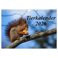 Calvendo Tierkalender 2026 (Wandkalender 2026 DIN A4 quer), CALVENDO