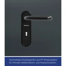 Hörmann H8-5 links 100 x 200 cm anthrazitgrau
