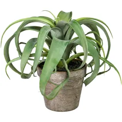Gasper Tillandsia Xerographica im Kunststofftopf 24 cm Topfpflanze Kunstpflanze