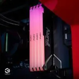 Kingston FURY Beast RGB 32 GB Kit DDR4 PC-3200 KF432C16BB2AK2/32