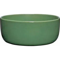 Amare Schale 18 cm grün