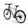 tenways CGO600 Plus 2025 28 Zoll RH 50 cm grau