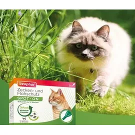 beaphar Zecken- & Flohschutz Spot-On für Katzen 3 x 0,8 ml
