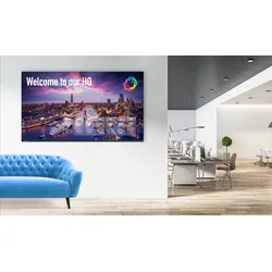 Avocor AVK-6510 - 165 cm (65") Diagonalklasse K Series LCD-Display mit LED-Hinte