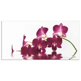 ARTland Küchenrückwand »Phalaenopsis Orchidee«, (1 tlg.), Alu Spritzschutz mit Klebeband, einfache Montage lila