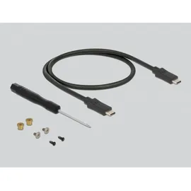 DeLock M.2 SATA Gehäuse 1 x M.2 SATA USB 3,1