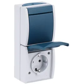 Busch-Jaeger Schuko-Steckdose 2 IP44 grau/blaugrün 1 St.