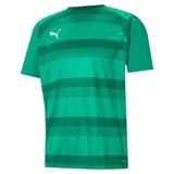Puma Puma, Unisex, Sportshirt, Teamvision Jersey Jr T-Shirt, Grün, 116