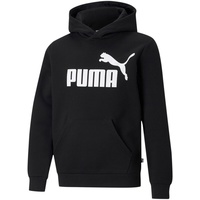 Puma Sportpullover/-Hoodie