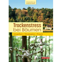 Trockenstress bei Bäumen – Ursachen, Strategien, Praxis