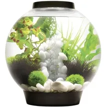 OASE biOrb CLASSIC 30 LED schwarz Aquarium 30l mit LED-Beleuchtung