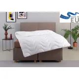 MY HOME Microfaserbettdecke MY HOME "Mailo Bettdecke 135x200 cm, 155x220 cm", weiß, B:135cm L:200cm, Obermaterial: 100% Polyester. Füllung: 100% Polyester, Bettdecken, Microfaserbettdecke, Sommer, Winter, Decke, kuschelweicher Microfaser-Feinbatist Bezug