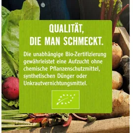Sperli Keimsprossen-saat Frische Mischung