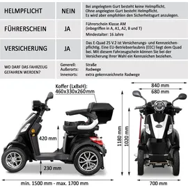 Rolektro E-Quad 25 V.2 1000 Watt 25 km/h schwarz