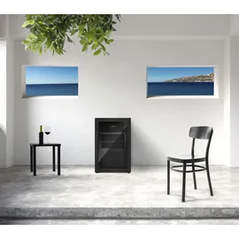 CASO Design Caso BBQ Cooler Black, S-R - Barbecue Kühlschrank 63L, Türanschlag rechts, Temperatur -1-10°C, für Innen- und Außenbereich, IPX4/Spritzwasserschutz, Einbau geeignet, UV Sicherheistglas, abschließbar