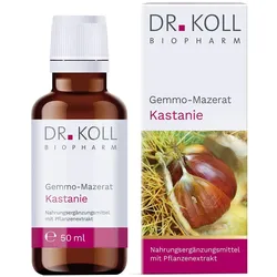 DR. Koll Gemmo-Mazerat Kastanie
