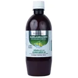 Patanjali Karela Amla Saft 500 ml Bittermelone Juice - Ayurveda Detox Verdauung Immunsystem | Blutzucker Unterstützung | Vitamin C Kräutersaft | Natürlich Indien mit Kajal Sticker