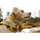Ruffwear Hi & Light Hundehalsband Lichen Green 51-66 cm