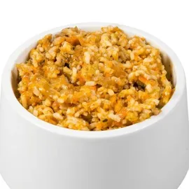 Sanoro Gemüse-Obst-Mix 2 mit Bio-Reis 12 x 400 g