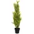 Europalms Zypresse, Leyland, Kunstpflanze, 90cm