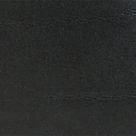 Golden Head Colorado Ausweisetui Herren schwarz