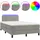 vidaXL Boxspringbett mit Matratze & LED Hellgrau 120x200 cm Samt