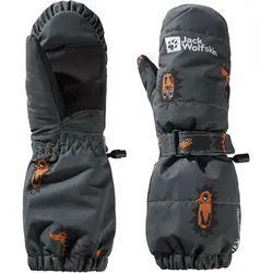 Jack Wolfskin Gleely 2L INS Mitten K slate green allover (8887) 92