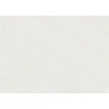 Heyda Transparentpapier 10X Heyda 204879458 Transp.50x70 Mistel ws