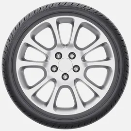Fortune FSR-701 225/55 R17 101W XL C