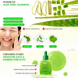 EQQUALBERRY Aloe PDRN Beruhigendes Serum 30 ml