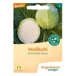Weißkohl - Dottenfelder Dauer