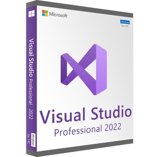 Microsoft Visual Studio 2022 Professional | Zertifiziert