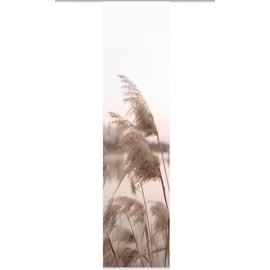 HOME WOHNIDEEN Schiebegardine TRAWY, (1 St.), Schiebevorhang bedruckt, beige
