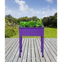 Elmar Jung Hochbeet Season 60 x 30 x 80 cm Lila