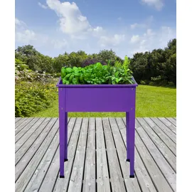 Elmar Jung Hochbeet Season 60 x 30 x 80 cm Lila