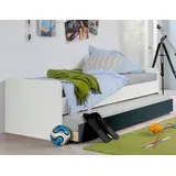 WIMEX Schubkasten WIMEX "Joker", grau (graphit), B:203cm H:21,5cm T:93cm, Schubladen, Schubkasten, zusätzliche Schlafgelegenheit, Gästebett, inklusive Lattenrost