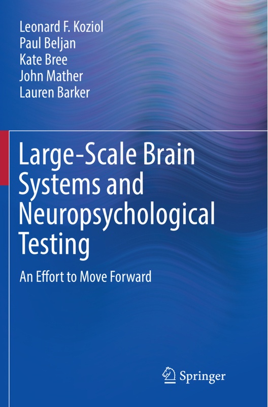 Large-Scale Brain Systems And Neuropsychological Testing - Leonard F. Koziol, Paul Beljan, Kate Bree, John Mather, Lauren Barker, Kartoniert (TB)