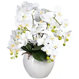 Fuchs Versand 24/7 Kunstpflanze Phalaenopsis Höhe: 56 cm weiß