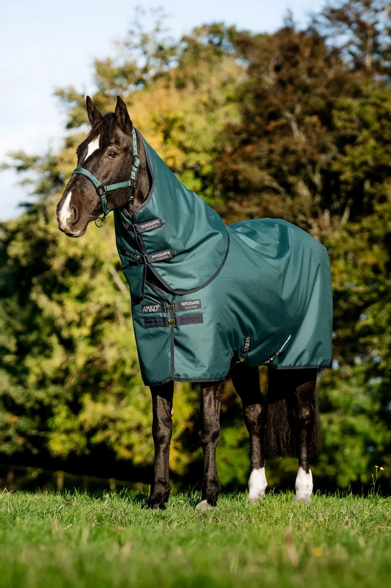 Horseware Amigo Ripstop 900D Plus Outdoordecke für Ponys, 100 g