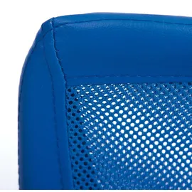 Interlink Bonnie blau